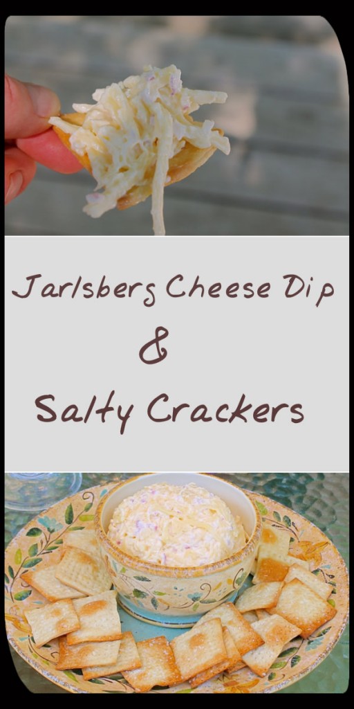 Jarlsberg Dip with Homemade Salty Crackers is the perfect snack for your next craving to munch!