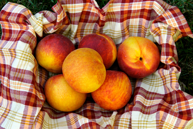 Spiced Peaches Canning