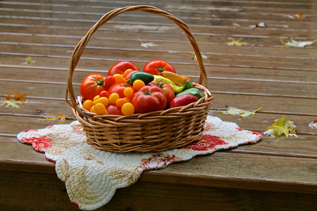 Black Bean Harvest Salsa 