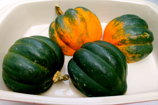 Acorn squash