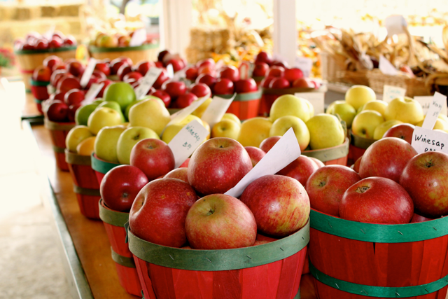 Cranberry Apple Salad a beautiful harmony of fruits, sweet and tart. Find this delicious recipe here at Happy Belly Foodie