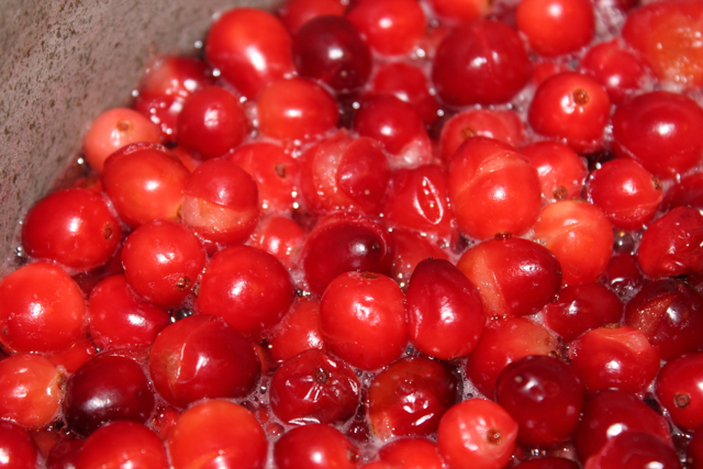 Cranberry Apple Salad a beautiful harmony of fruits, sweet and tart. Find this delicious recipe here at Happy Belly Foodie