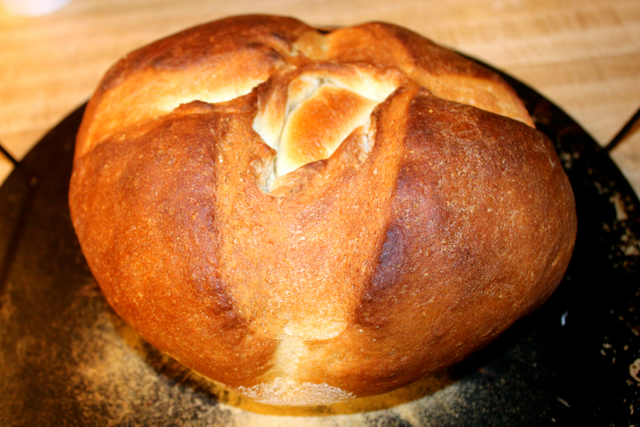 Sour Dough Bread