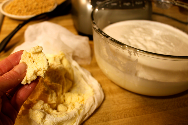 Homemade Soy Milk ~ Creamer - Happy Belly Foodie