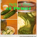 Pack a Pint of Pickles Fast ~ Refrigerator Pickles