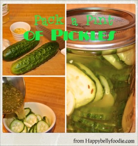 Pack a Pint of Pickles Fast ~ Refrigerator Pickles - Happy Belly Foodie