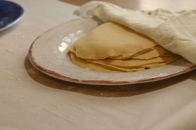 raw tortilla shells