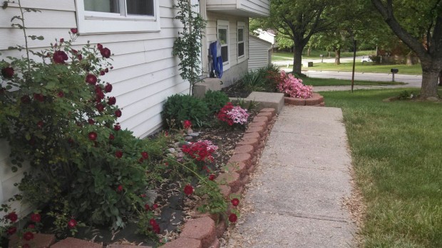 front yard flowers