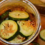 Fermented Dill Pickles