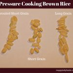 How to Pressure Cook Different Types of Rice Part II ~ Brown Rice